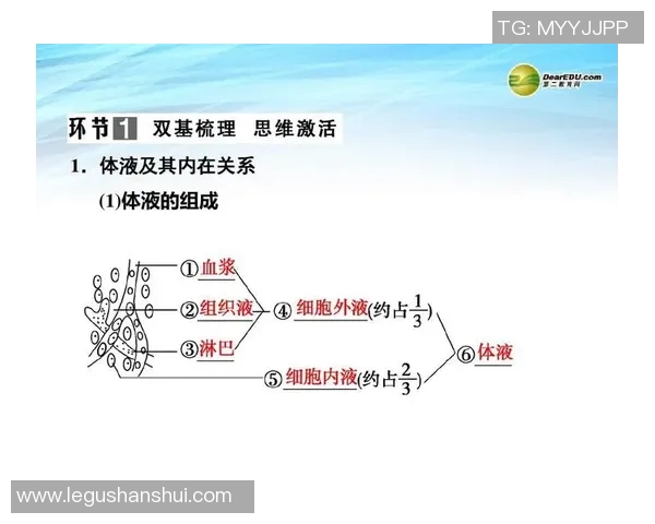 三年级体育课件全面提升学生身体素质与团队合作能力的创新教学方案